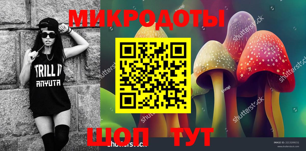 Галлюциногенные грибы Psilocybine cubensis  Вход с VPN  Прохладный 
